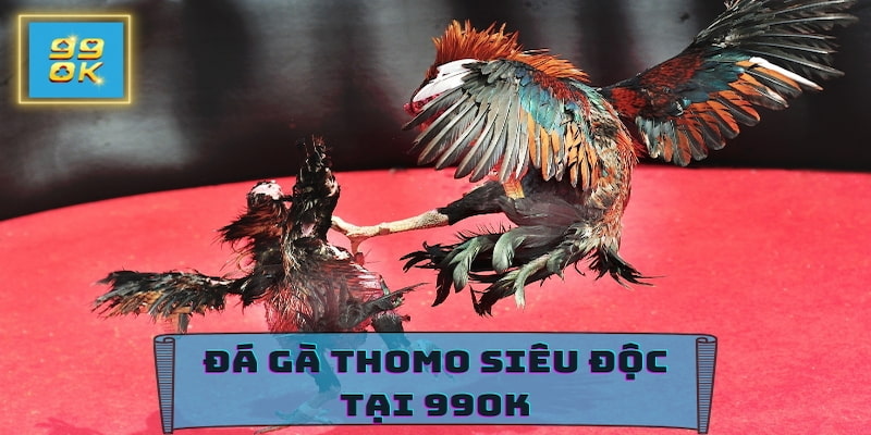 Đá Gà 99OK - Thông Tin Sảnh Thomo Trực Tuyến Mới 2026 5 Thử sức cùng Đá gà 99OK và chinh phục mọi trận đấu
